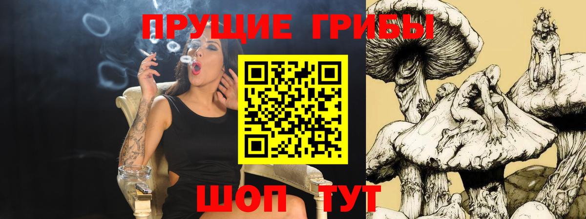 Алатырь  Псилоцибиновые грибы MAGIC MUSHROOMS  Вход с VPN  Галлюциногенные грибы Magic Shrooms 