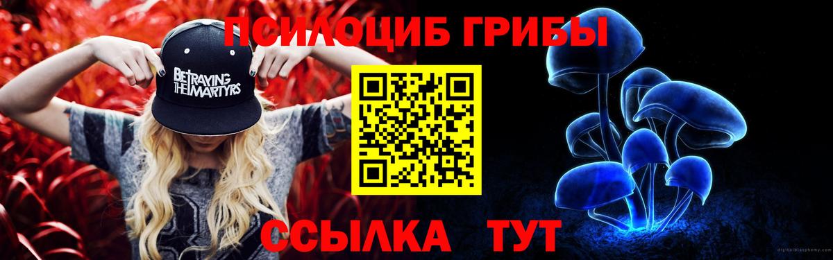Галлюциногенные грибы прущие грибы Алатырь